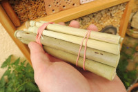 gebündelte Niströhren